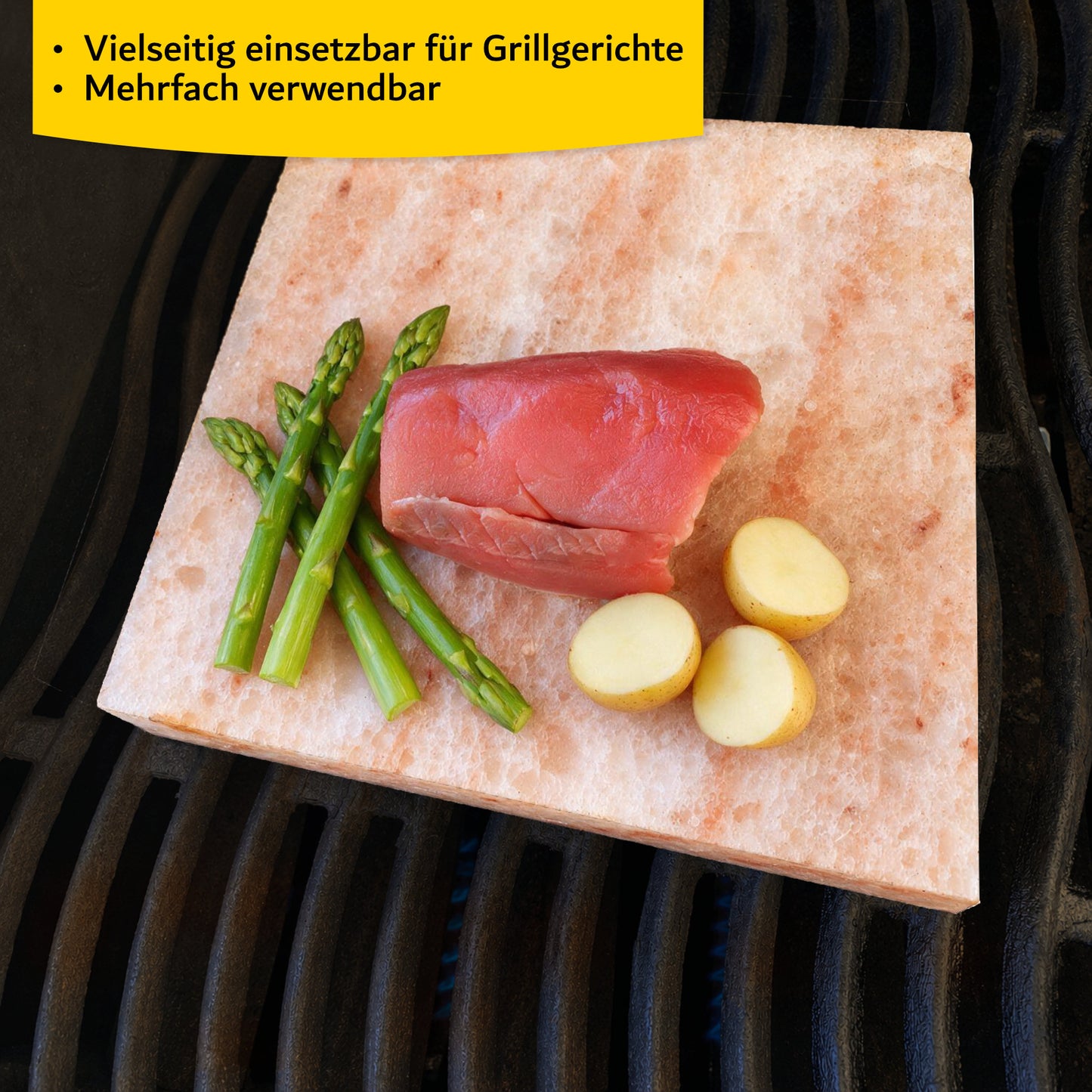Grill-Salzplatte: XL Salzstein zum Grillen für außergewöhnliche Genussmomente