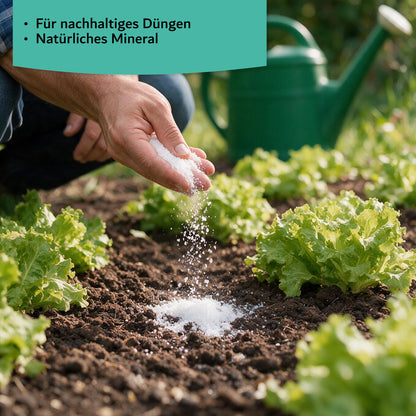 Bittersalz Magnesiumsulfat – chemisch rein – Lebensmittelqualität: 3kg | 5kg | 10kg Eimer
