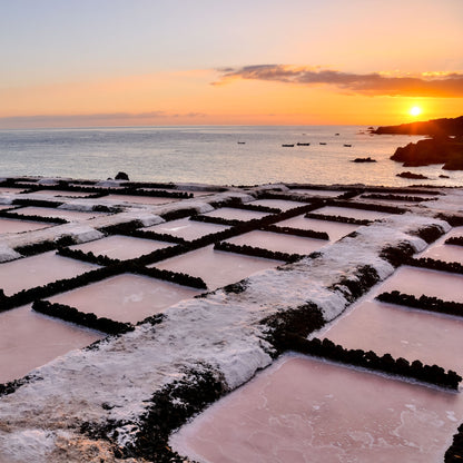 Fleur de Sel de Guérande – handgeerntet, traditionell – reines Naturprodukt: 125g Dose | 1.5kg Karton