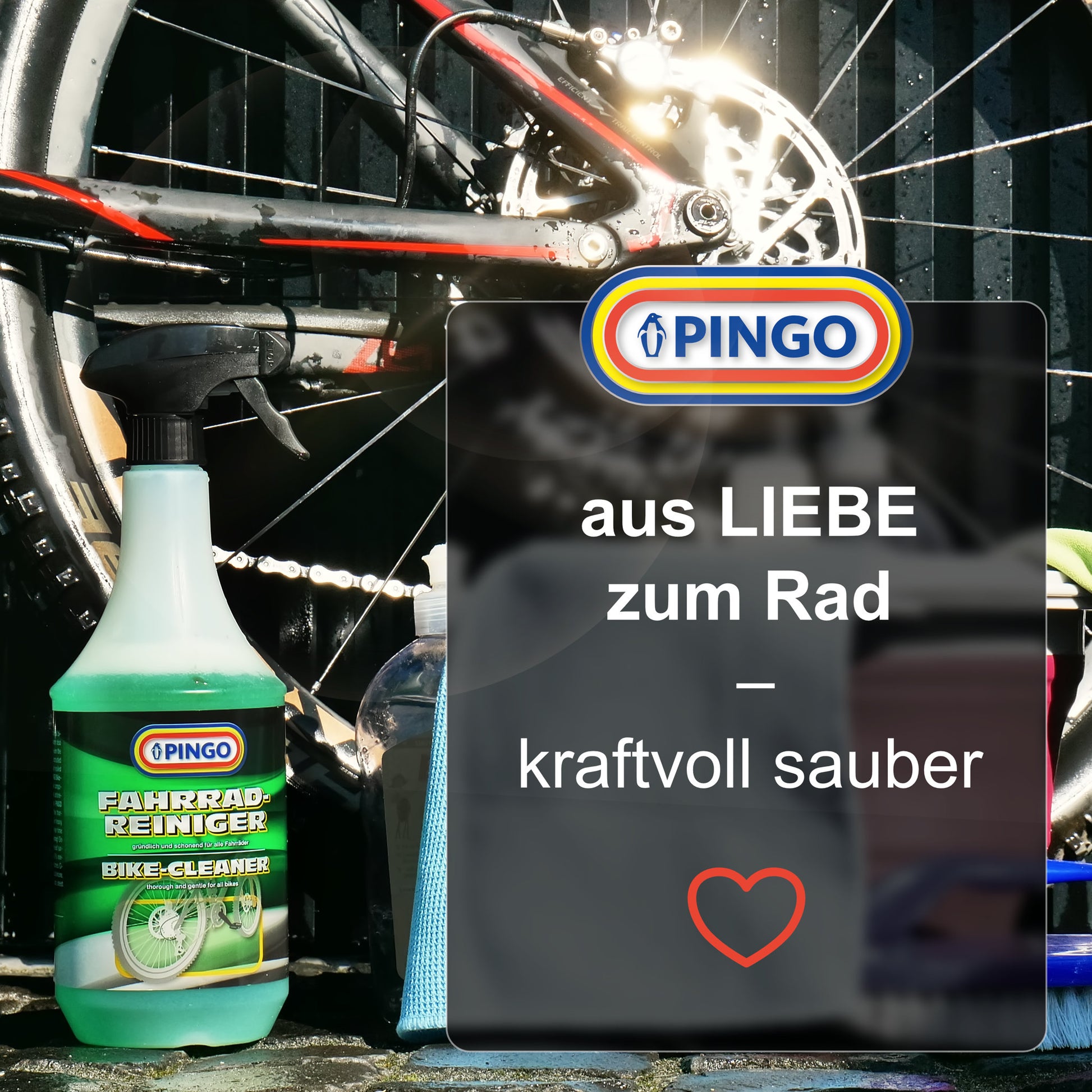 PINGO Fahrradreiniger: Schnell, schonend, blitzsauber – Salzkontor Kurpfalz GmbH