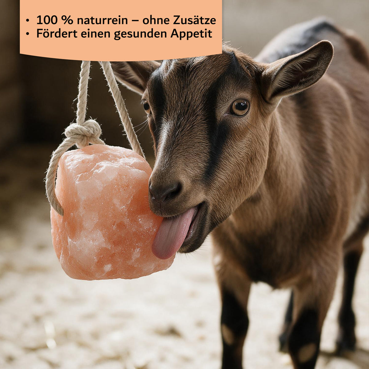 Kristallsteinsalz-Leckstein mit Kordel 2–2,5 kg – Naturbelassener Salzleckstein für Pferde