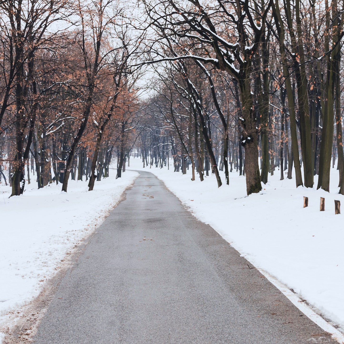 Natriumacetat Streuqualität – Soft-Tau: 25kg Sack | Palette