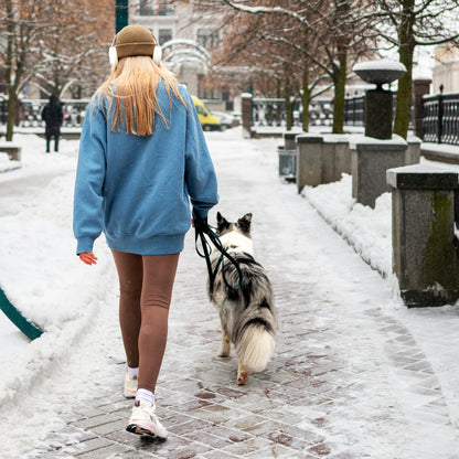 Natriumacetat Streuqualität – Soft-Tau: 25kg Sack | Palette